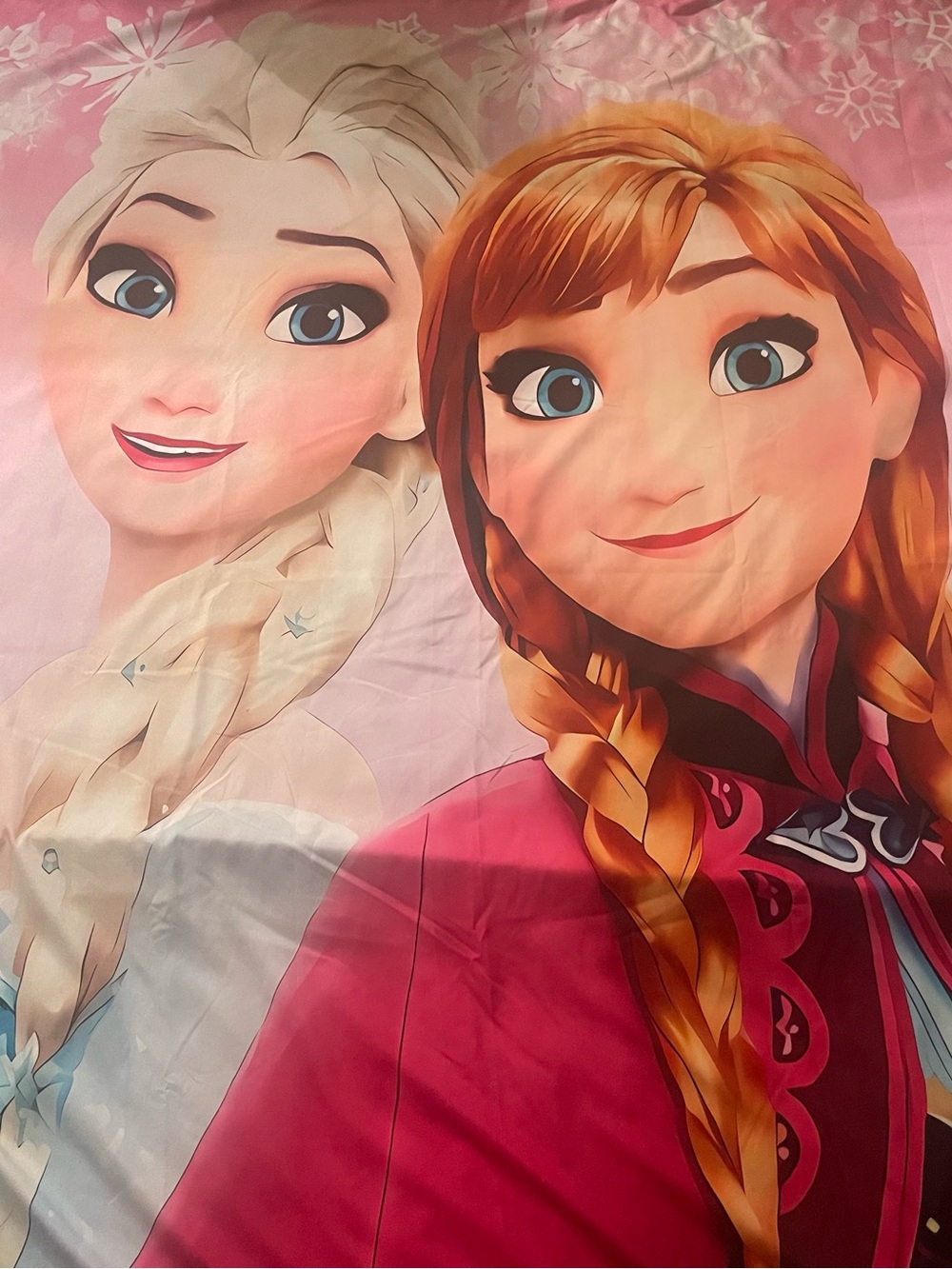 Disney Frozen Anna & Elsa Pink Kids Bedding Twin Duvet